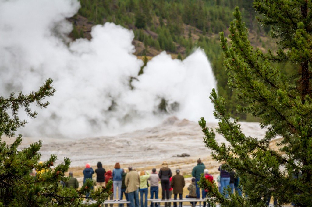 Old Faithful Geyser