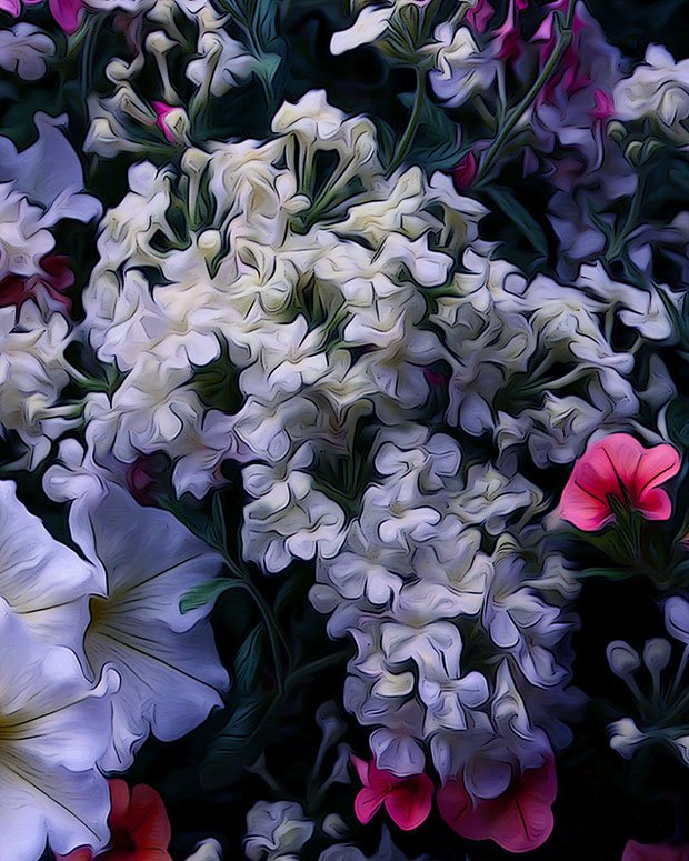 Hanging Flowers