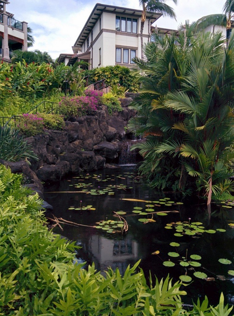 Wailea Beach Villas 