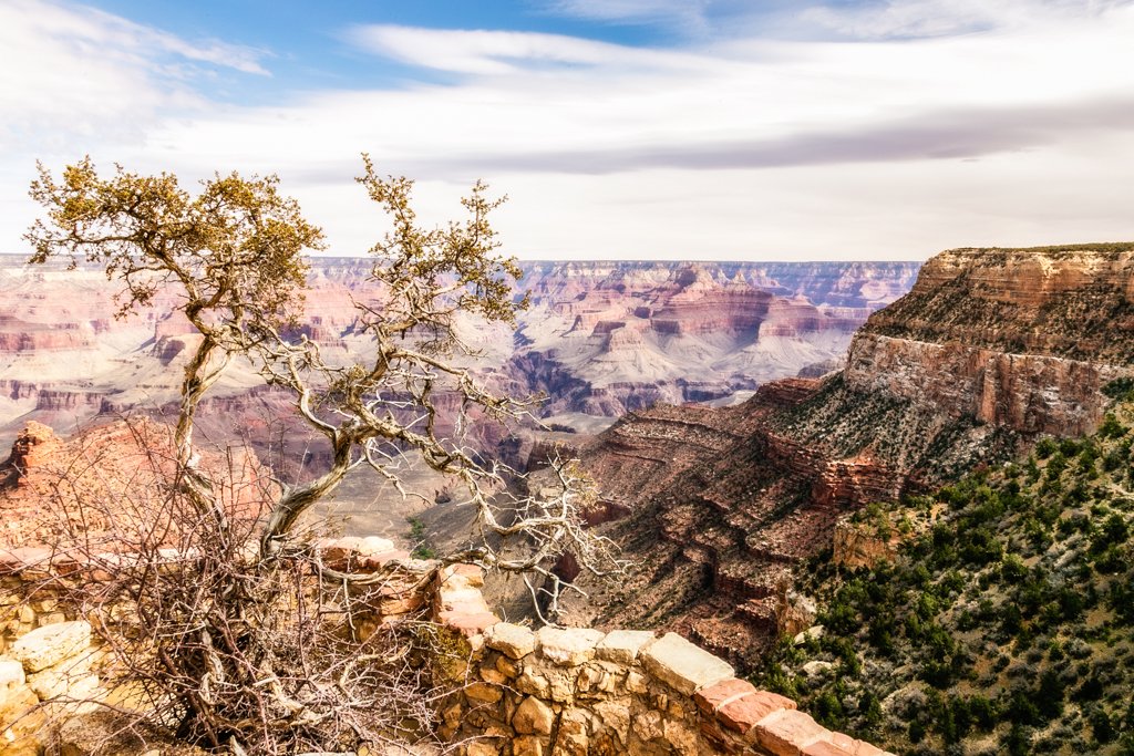 Lookout Point