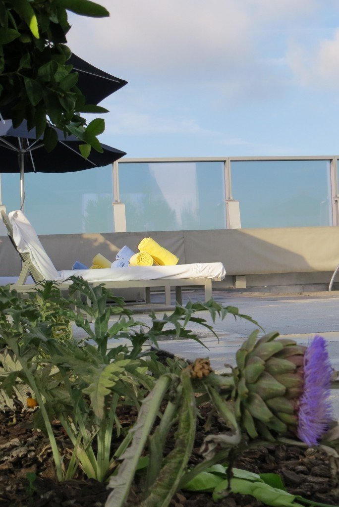 Rooftop Garden, The Ritz-Carlton, Los Angeles