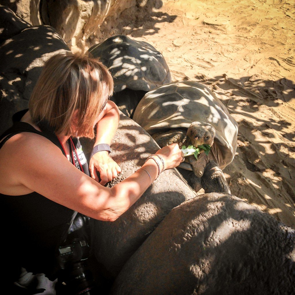 Feeding a turtle at the San Diego Zoo.