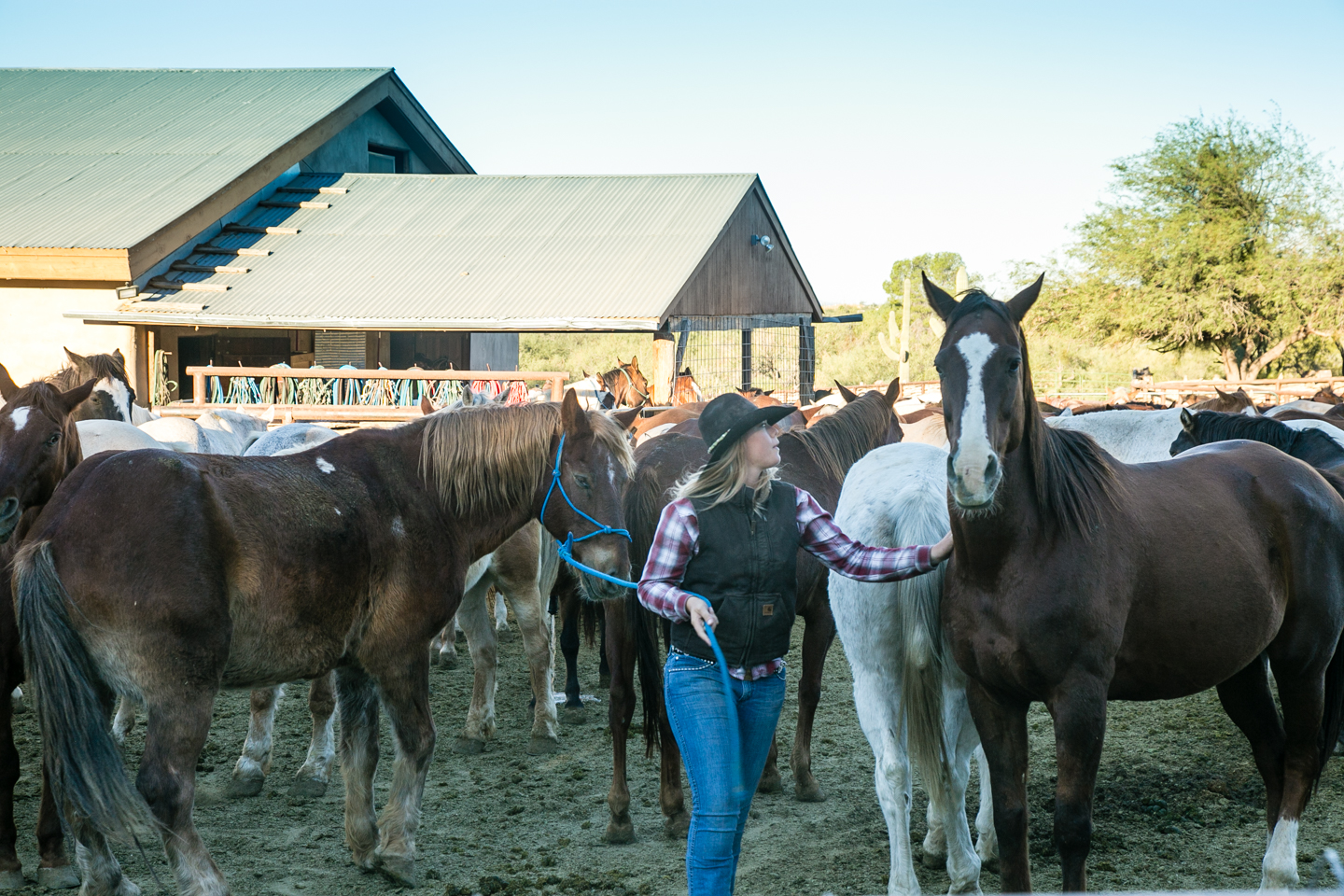 In the Saddle at Tanque Verde Dude Ranch | Luxe Beat Magazine