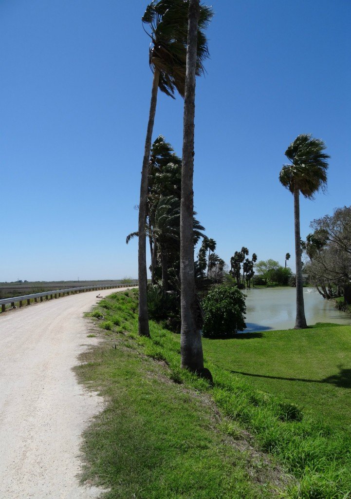 levee surrounding Llano Grande