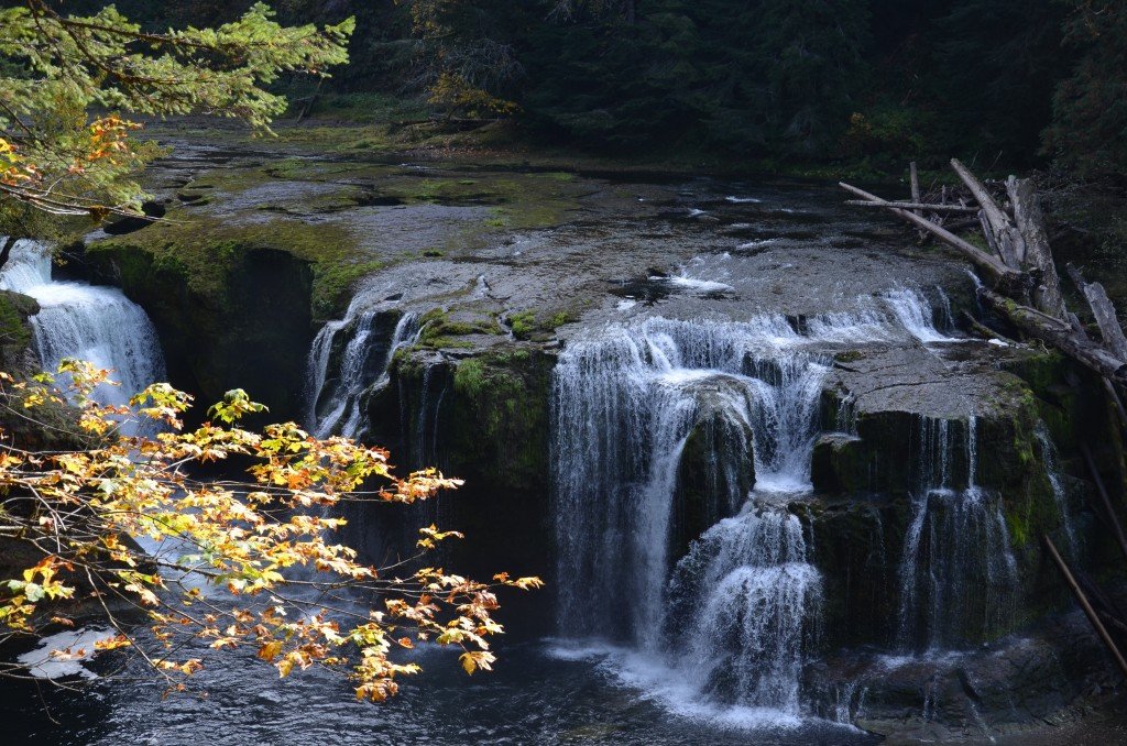 Lower Lewis River Falls.