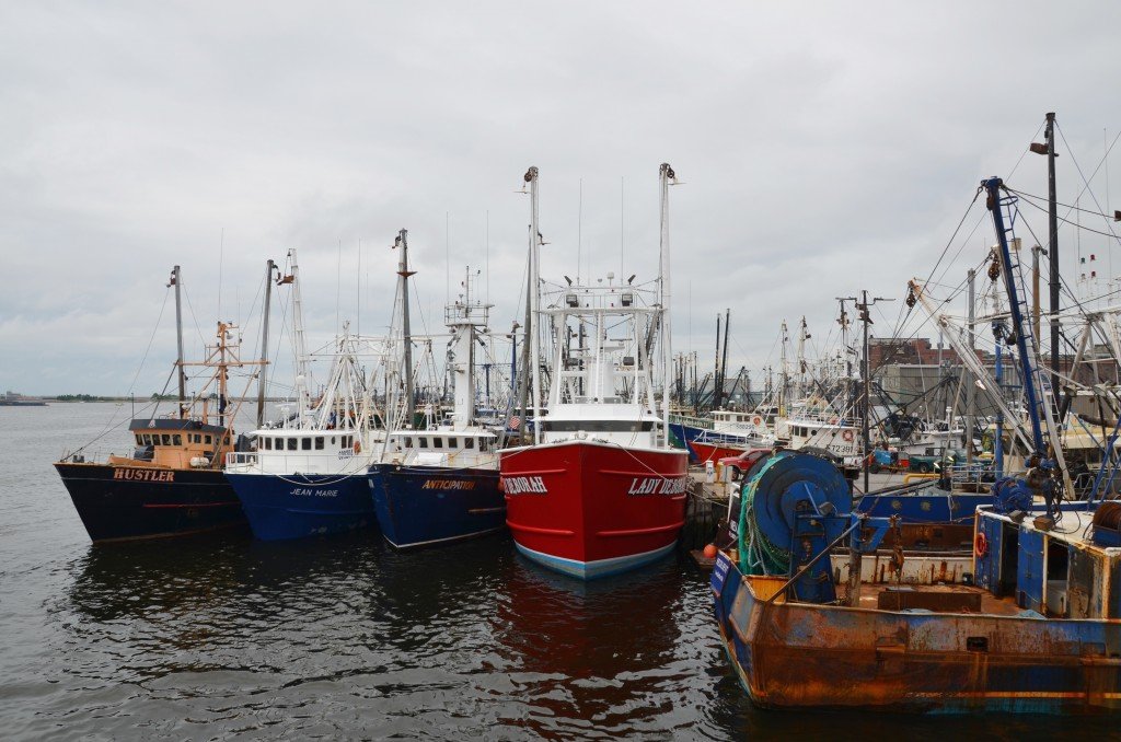 Fishing boats in dock.