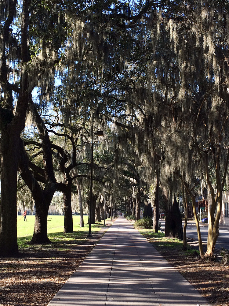 Savannah, Georgia: The Hostess City of the South