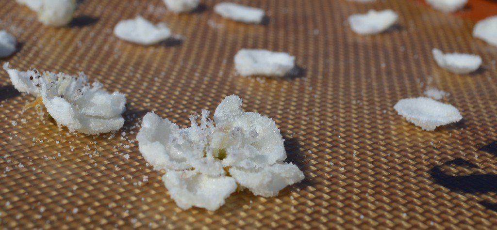 Candied Cherry Blossoms