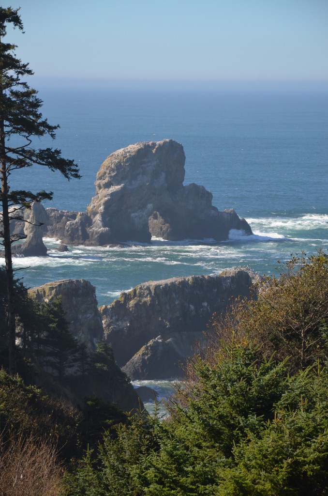 View at Ecola State Park