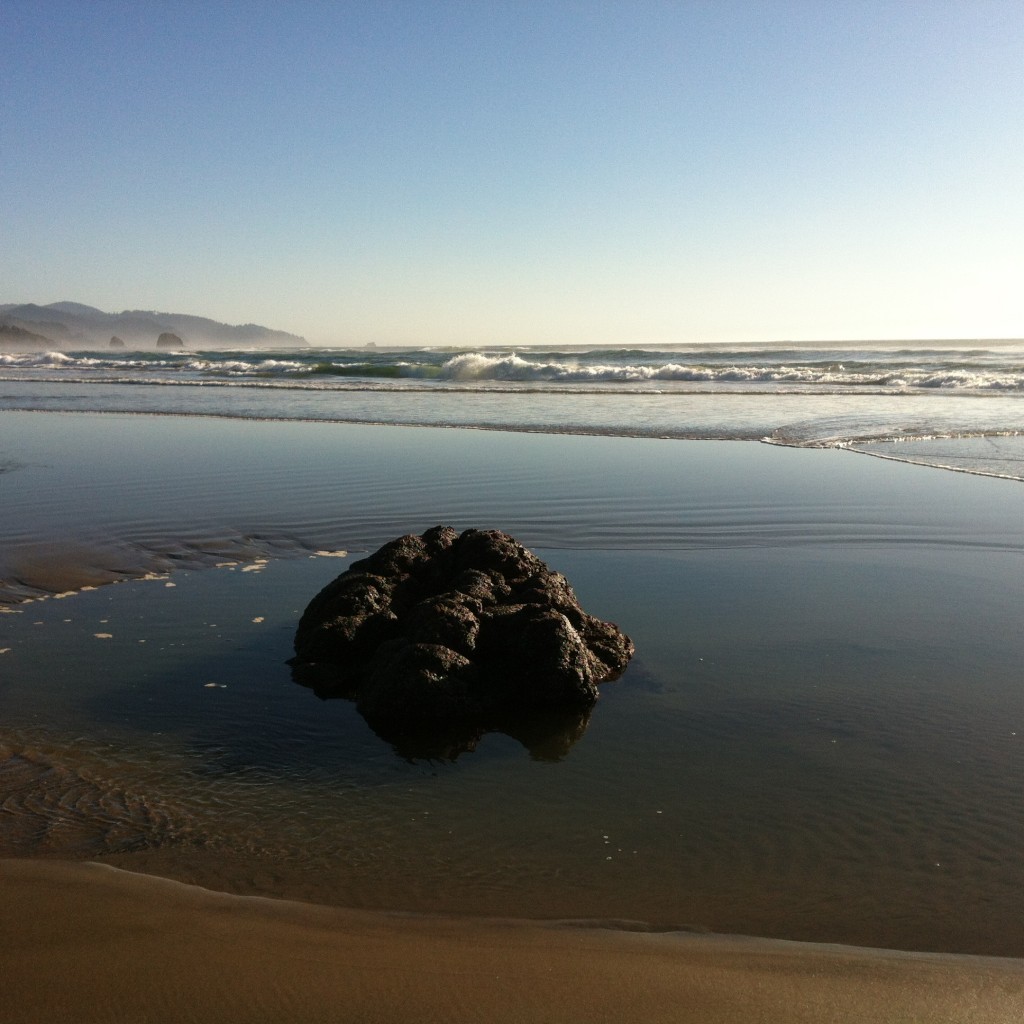 Tidepool at Haystack Rock