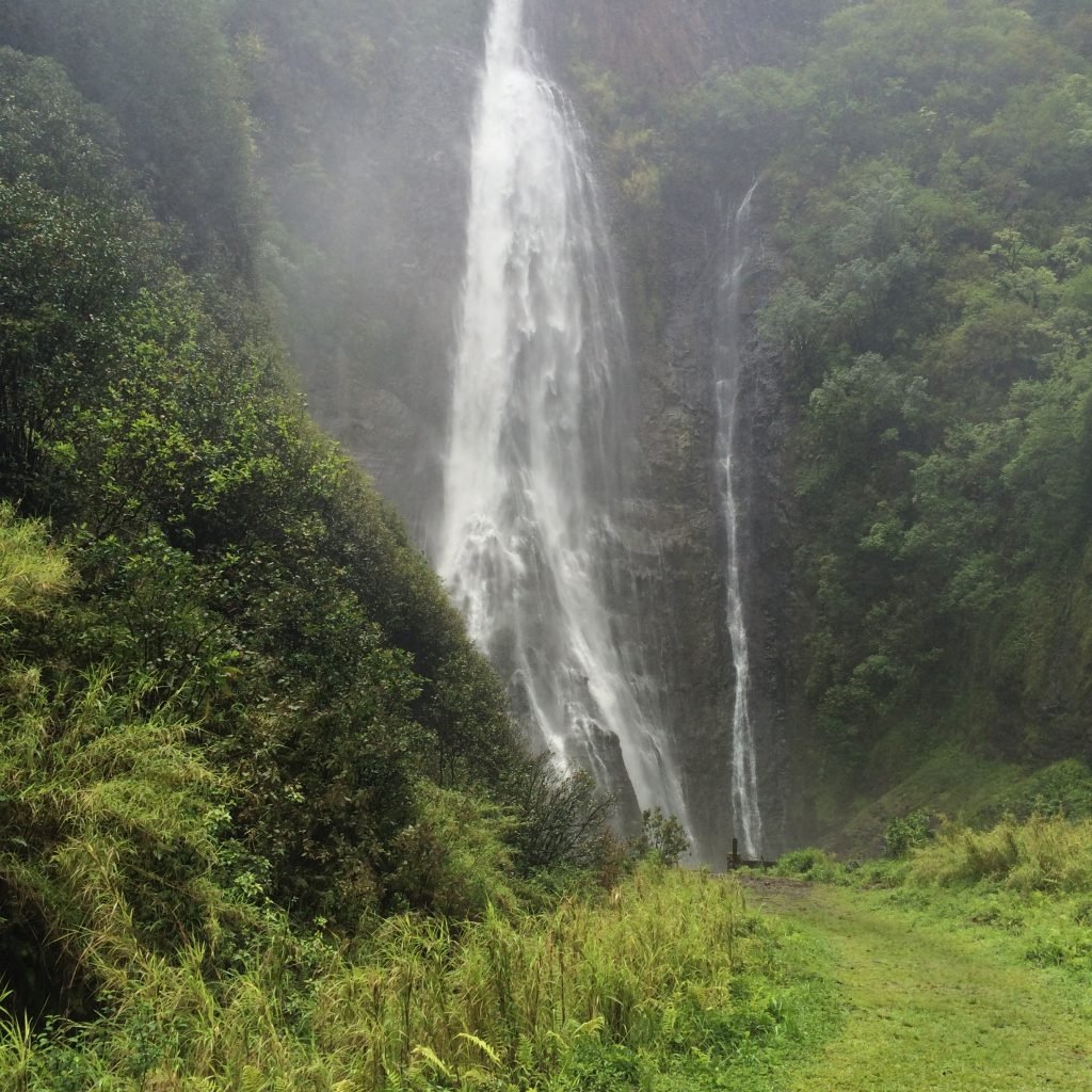 Put a pin in it Kaua'i Debbie Stone