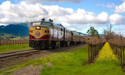 Amour Aboard the Napa Valley Wine Train