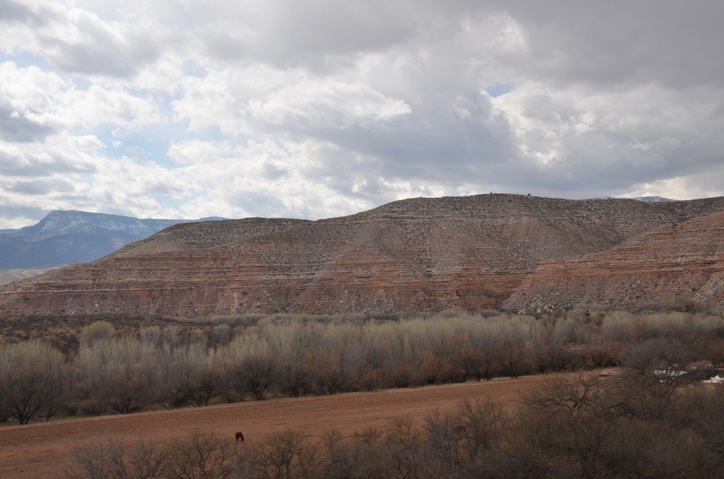 April - A Scenic Trip on the Verde Canyon Railroad - Jan Ross2