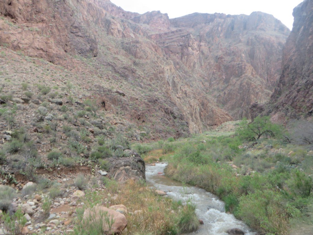 Debbie Stone put a pin in it Grand Canyon