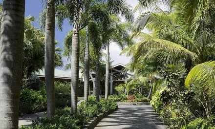 Discovering Nevis, Loving The Four Seasons Resort–and Finding Alexander Hamilton