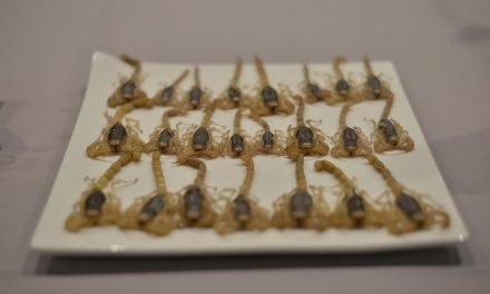 Eating Bugs, the Next Food Frontier