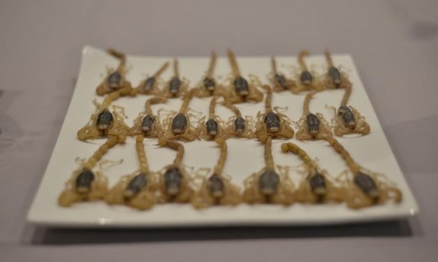 Eating Bugs, the Next Food Frontier