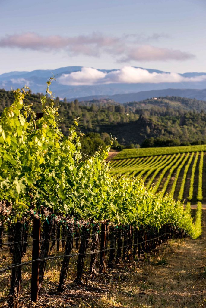 California Eco-Friendly Winery Events For Earth Month in April - Luxe ...