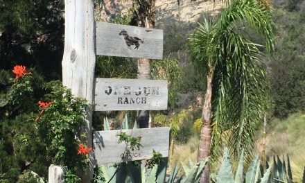 Luxury Biodynamic Farming in Malibu