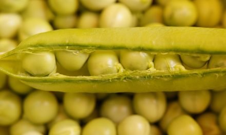 Green Pea & Mint Soup