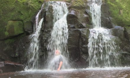 Discover the beauty of Appalachia on a Smoky Mountains hiking trip