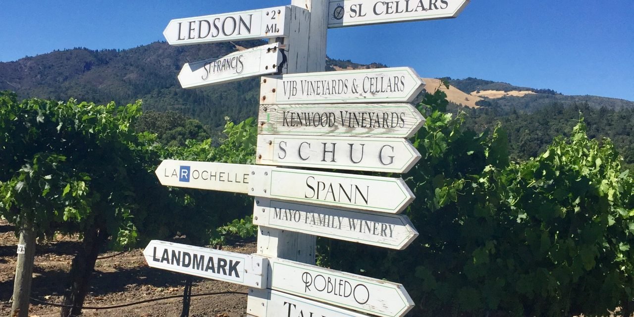 Napa and Sonoma Valley Wine 101 | Luxe Beat Magazine