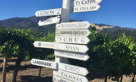 Napa and Sonoma Valley Wine 101