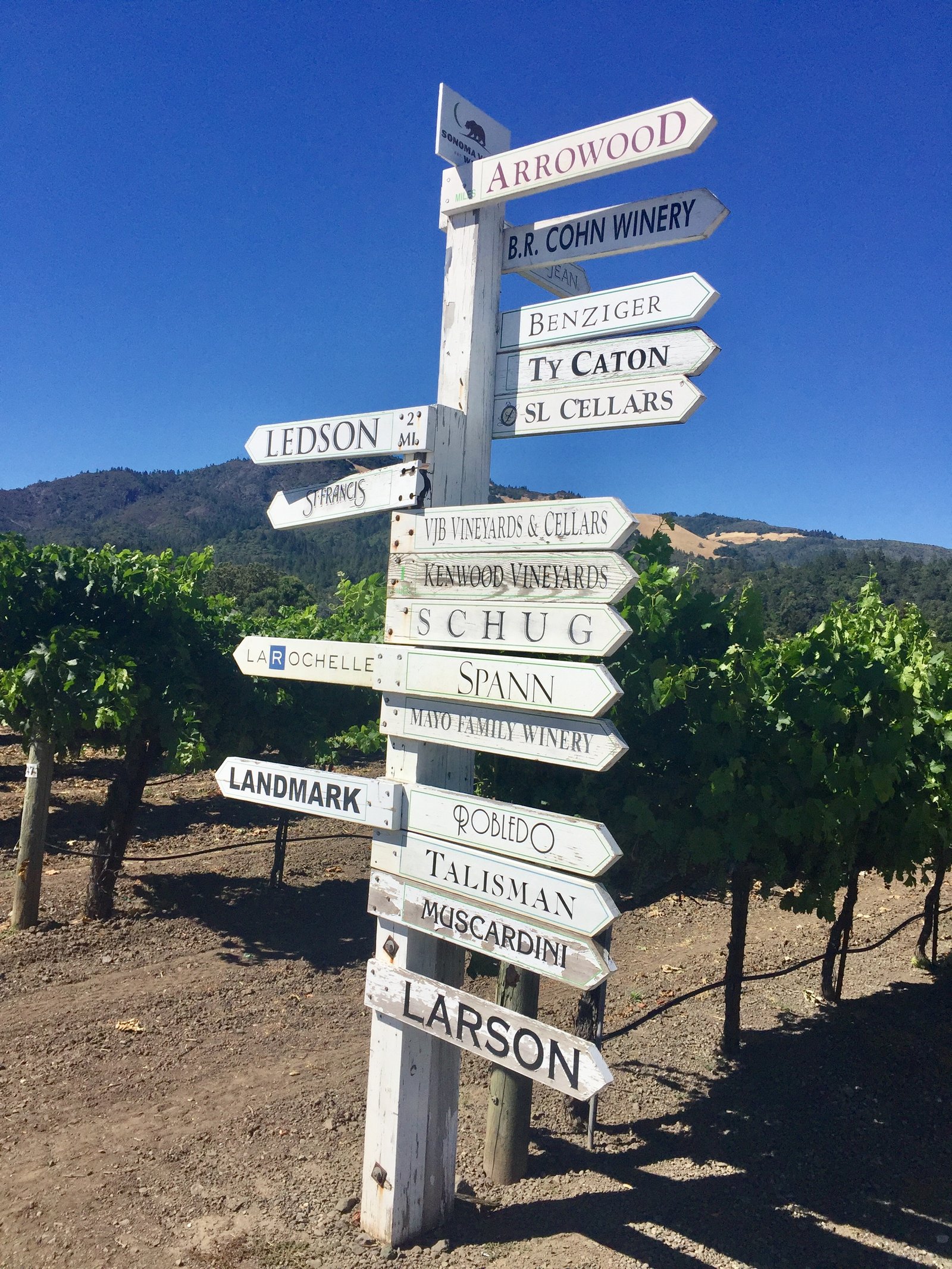 Napa and Sonoma Valley Wine 101 - Luxe Beat Magazine