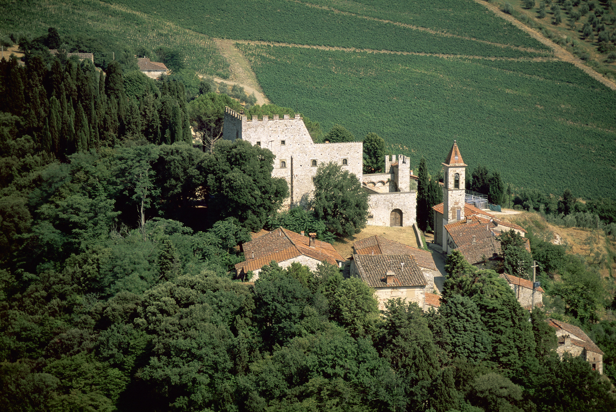 castello di nipozzano wine tour