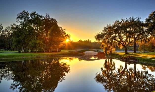 Innisbrook Golf Resort and Spa: A Photo Journey