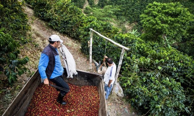 Coffee Tourism in El Salvador Jolts Interest of Worldly Travelers