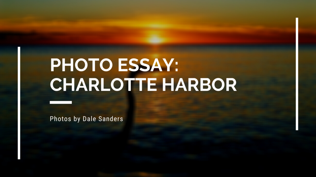 Photo Essay Charlotte Harbor Dale Sanders