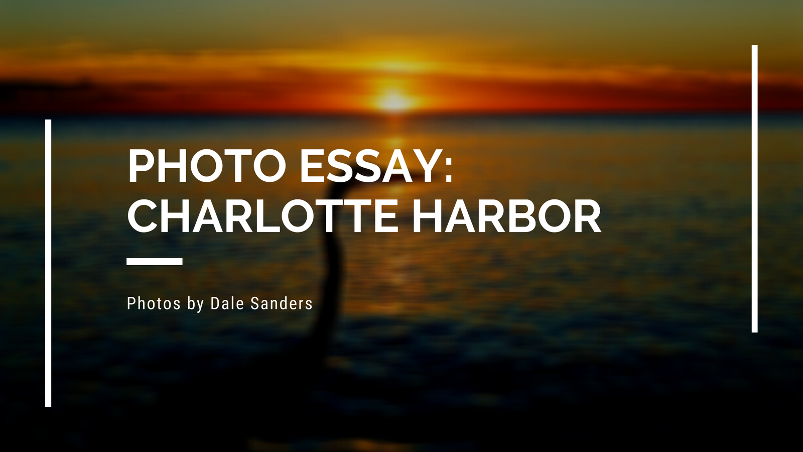 PHOTO ESSAY: Charlotte Harbor