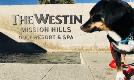 Yappy Hour at the Westin Mission Hills Golf Resort & Spa