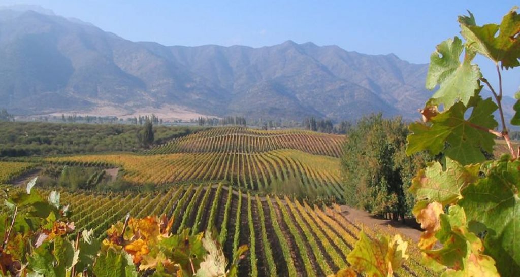 Colchagua, Chile