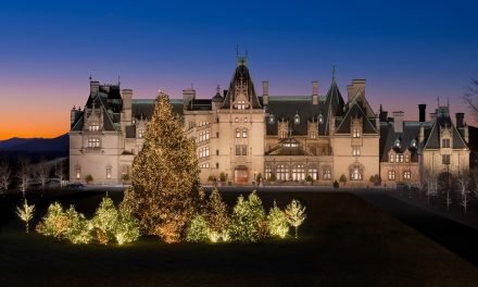 Arrival of 35-foot Fraser fir signals the start of Christmas at Biltmore