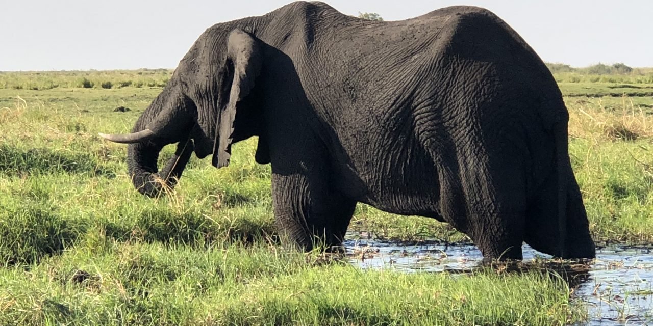 Nature Takes Center Stage at These Southern Africa Wonders