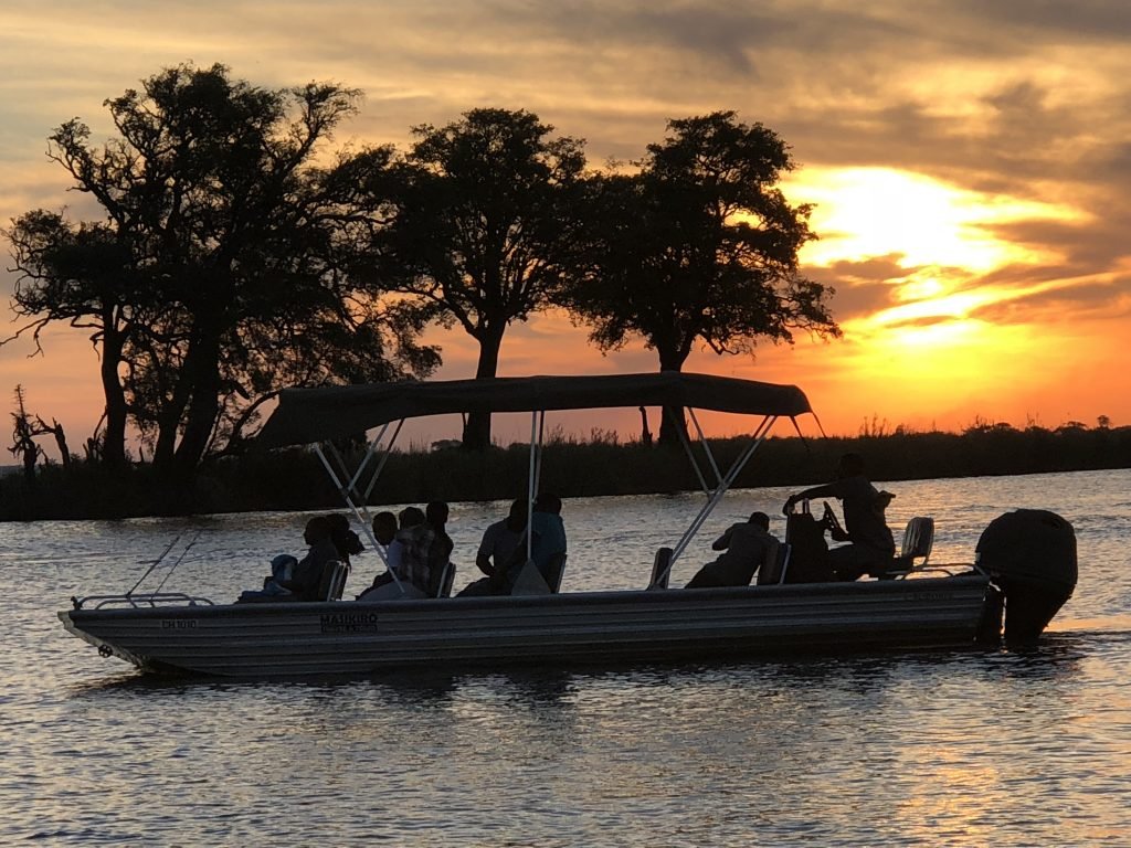 Chobe River safari put a pin in it Debbie Stone