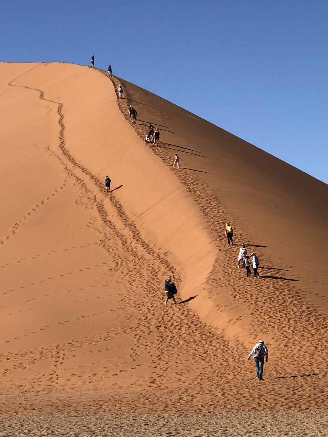 Nambia's Epic Deserts and Dunes Offer Adventure and Wildlife - Luxe ...