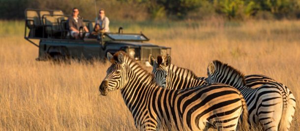 Travel to South Africa: A Bucket List Destination | Luxe Beat Magazine