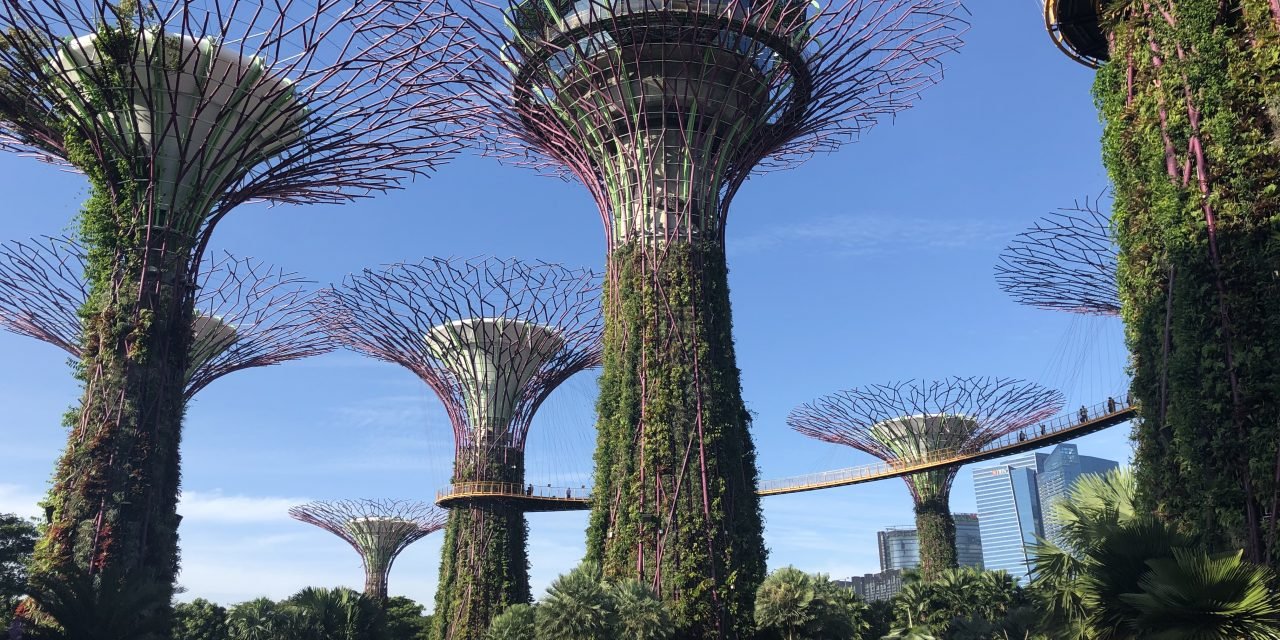 Futuristic Gardens by the Bay is a Feast for the Senses