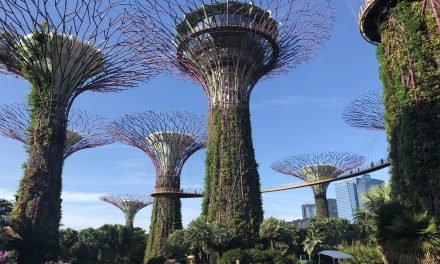 Futuristic Gardens by the Bay is a Feast for the Senses
