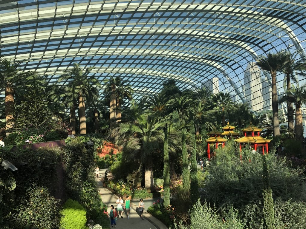 Gardens by the Bay Singapore Debbie Stone