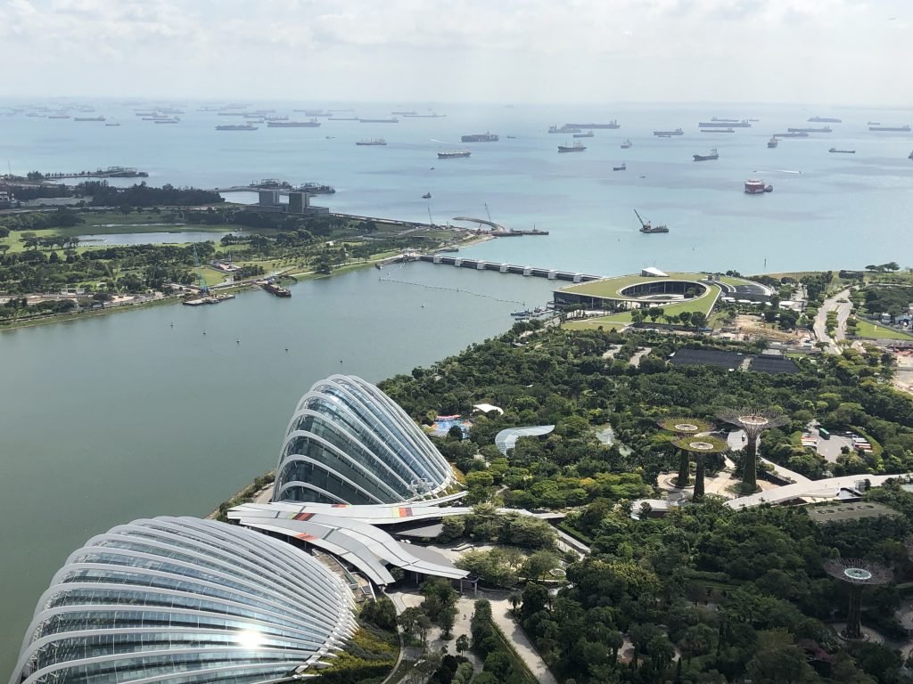 Gardens by the Bay Singapore Debbie Stone