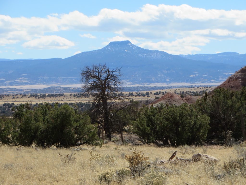 Ghost Ranch 