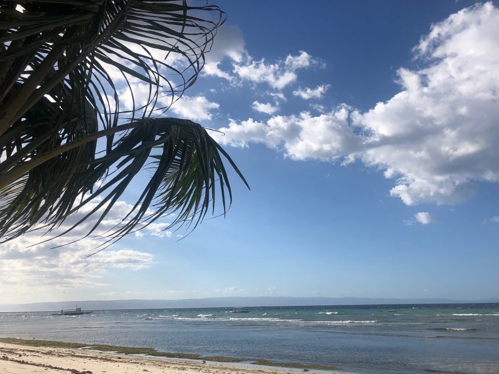 Bohol, Philippines, View From Airbnb