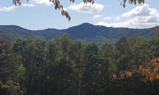 Small Town Vibes And The Bonds Of Family In Black Mountain, North Carolina