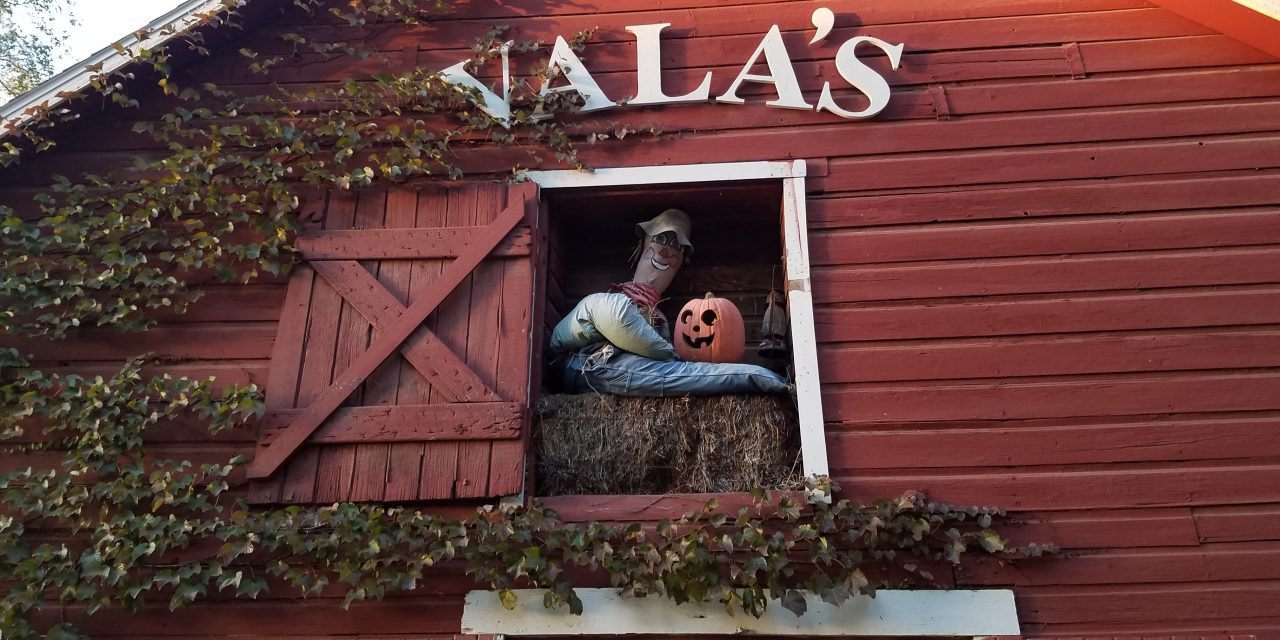 Vala’s Pumpkin Patch: Holiday Family Fun In Nebraska