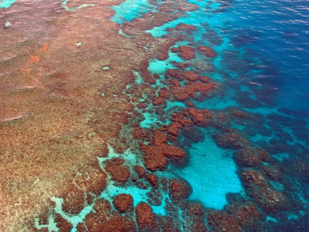 Diving - Australia