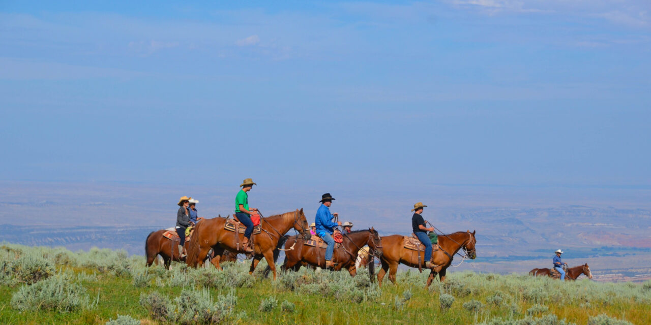 6 Trips to National Parks + American West